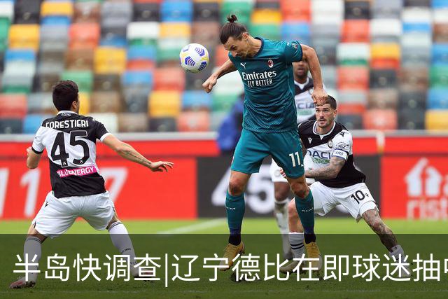 半岛快调查|辽宁德比在即球迷抽中球票却被告知“黄牛没抢到票”